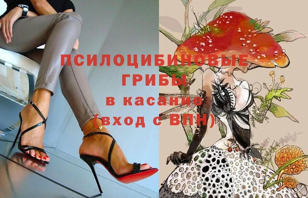 ПСИЛОЦИБИНОВЫЕ ГРИБЫ Балабаново